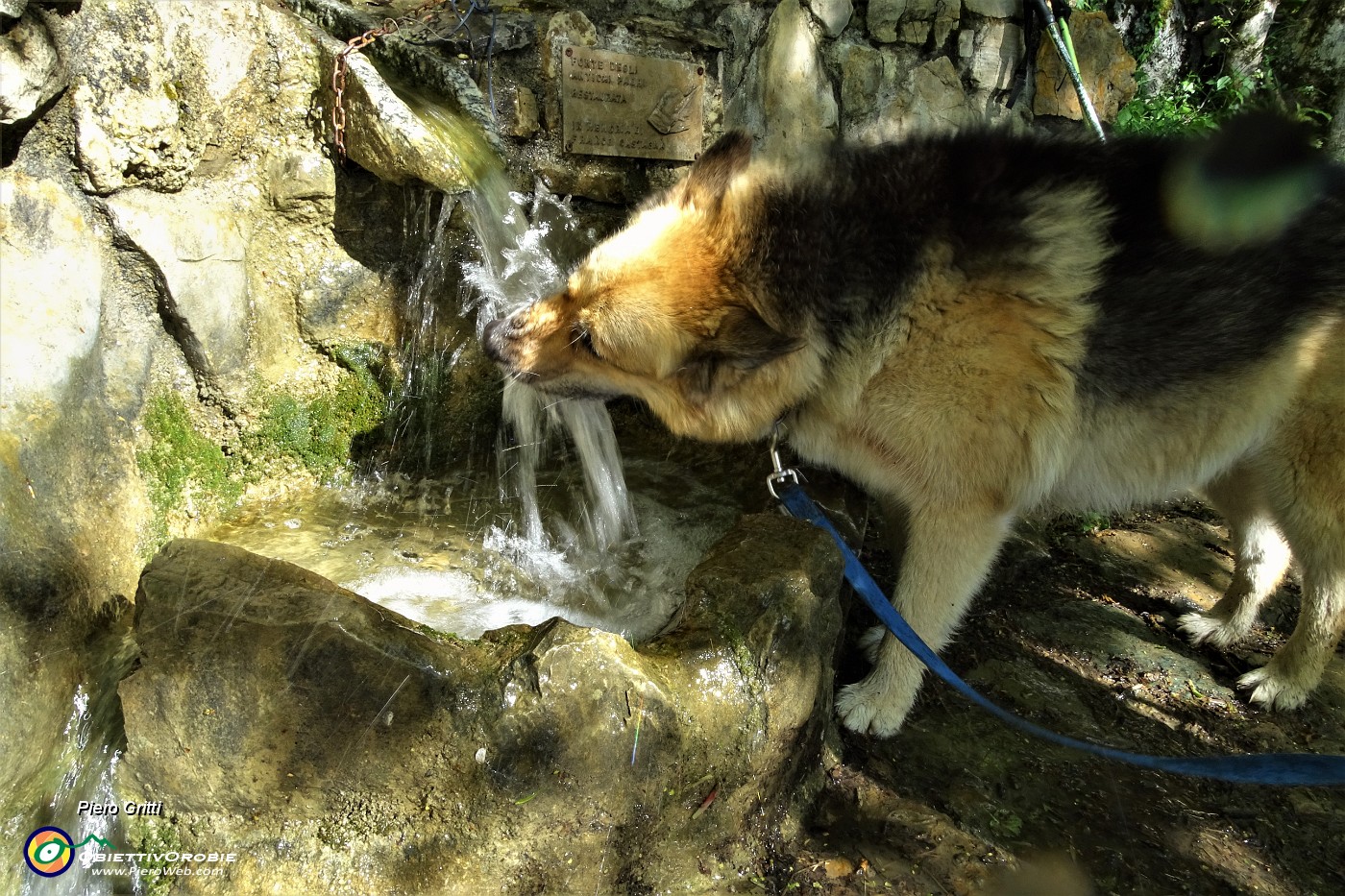 15 Sorgente d'acqua potabile, 'Fonte degli antichi padri, restaurata'.JPG